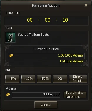 Dropped item entering the raid auction